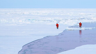 Sailing the North Pole Trailer