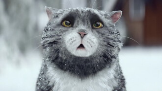Sainsbury's: Mog's Christmas Calamity Trailer