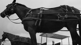 Salamanca Trailer