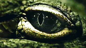 Saltwater: The Battle for Ramree Island Trailer