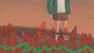 Salvia at Nine Trailer
