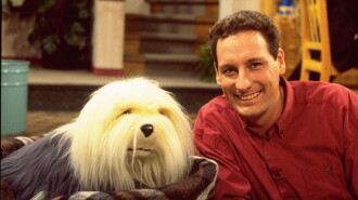 Samson & Gert Kerstshow: Het Speelgoedgeld (1997-1998) Trailer