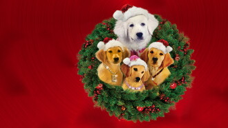 Santa Buddies Trailer