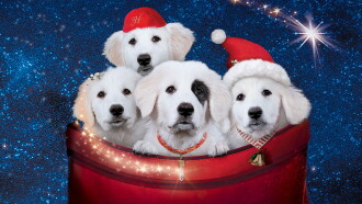 Santa Paws 2: The Santa Pups Trailer
