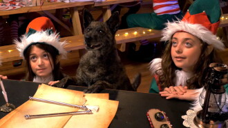 Santa Stole Our Dog: A Merry Doggone Christmas! Trailer