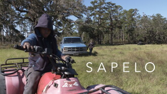 Sapelo Trailer