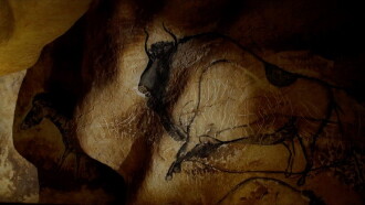 Sapiens ou la naissance de l’art Trailer