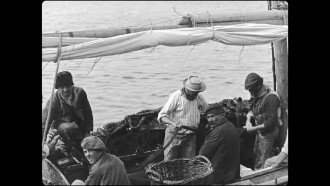 Sardine Fishing Trailer