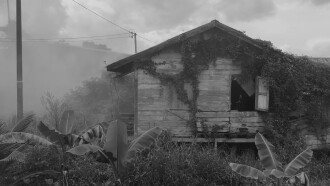 Saroning Trailer