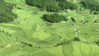 Satoyama I: Japan's Secret Watergarden Trailer