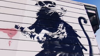 Saving Banksy Trailer