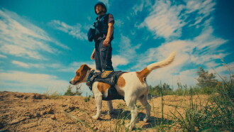 Saving the Animals of Ukraine Trailer