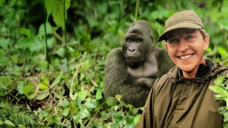 Saving the Gorillas: Ellen's Next Adventure Trailer