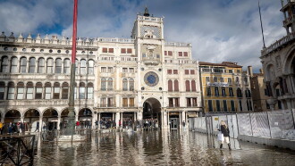 Saving Venice Trailer