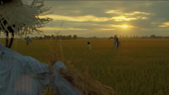 Scarecrow Trailer