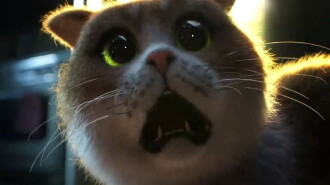 Scaredy Cat Trailer