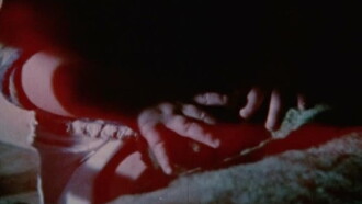 Scenes from Under Childhood, Section One Trailer