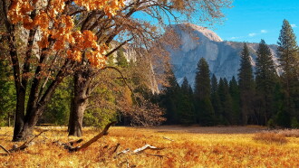 Scenic National Parks: The Best of the National Parks Trailer