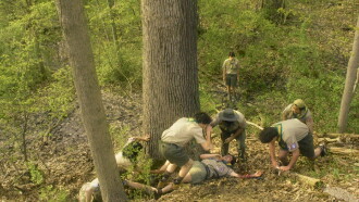 Scouts Trailer