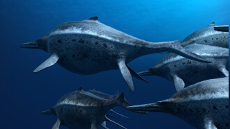 Sea Rex 3D: Journey to a Prehistoric World Trailer