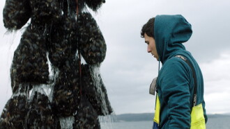Seabreaker Trailer