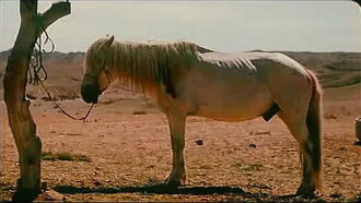 Season of the Horse Trailer