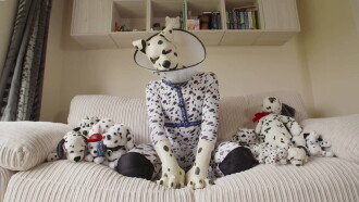 Secret Life of the Human Pups Trailer