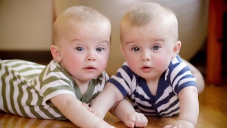 Secret Life of Twins Trailer