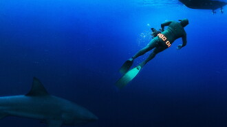 Secrets of the Bull Shark Trailer