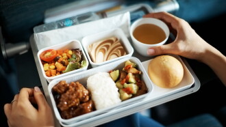 Secrets of Your Airline Food Trailer