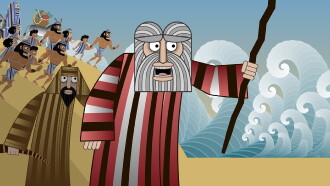 Seder-Masochism Trailer