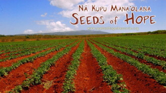 Seeds of Hope Trailer
