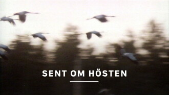 Sent om hösten Trailer