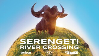 Serengeti River Crossing Trailer
