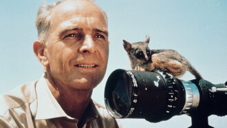 Serengeti Shall Not Die Trailer