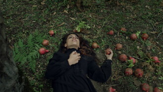 Sermon to the Birds Trailer