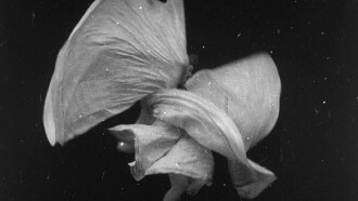 Serpentine Dance by Mme. Bob Walter Trailer