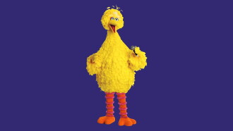 Sesame Street: Big Bird Sings! Trailer