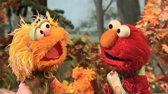 Sesame Street: Love the Earth! Trailer