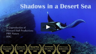 Shadows in a Desert Sea Trailer
