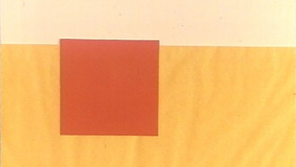 Shagreen Leather Trailer