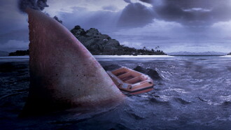 Shark Attack in the Mediterranean Trailer