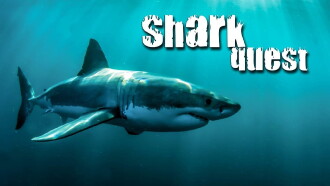 Shark Quest Trailer
