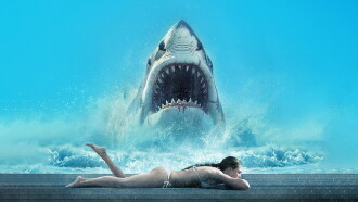 Shark Warning Trailer