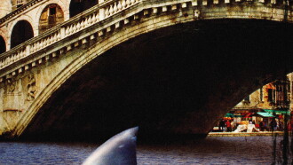 Sharks in Venice Trailer
