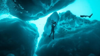 Sharks of the Icy North Trailer