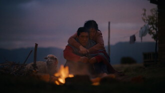 Sheep and Wolves Trailer