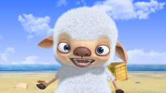 Sheep in the Island Trailer