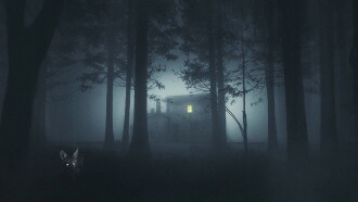 Shelby Oaks Trailer