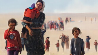 Shingal's tears Trailer